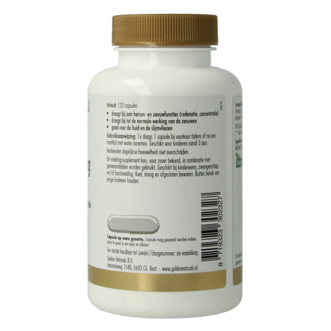 Vitamin B3 Niacinamid 120 Vegetarische Kapseln