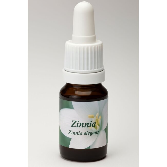 Zinnia 10 Milliliter