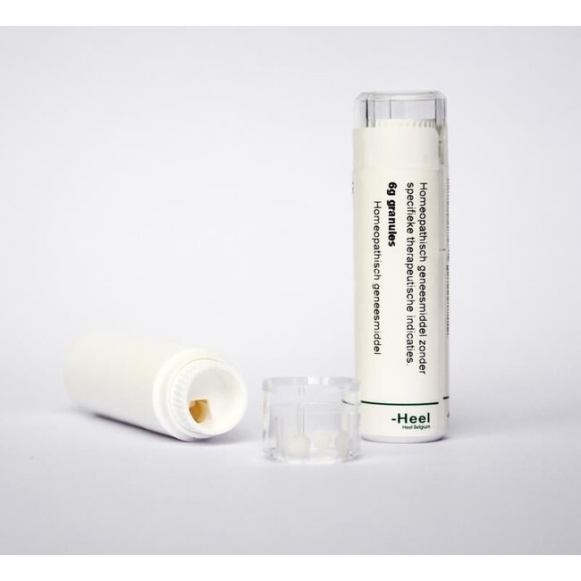 Aesculus hippocastanum 12K 6.00 Gram