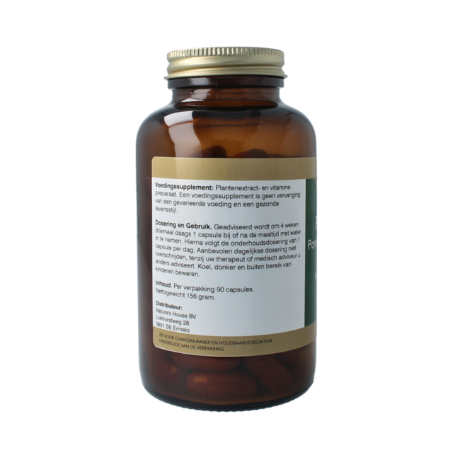Prostata (pompoenzaad formule) 90.00 Tabletten
