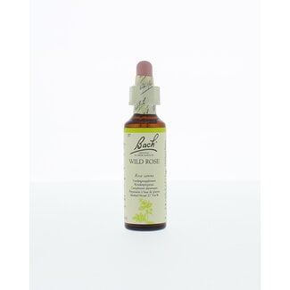 Bach Dzika róża Bach (Wild Rose) 20 Mililitrów