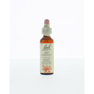 Bach Castaño rojo (Red Chestnut) 20 mililitros