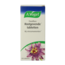 Passiflora tabletki uspokajające 200 tabletek