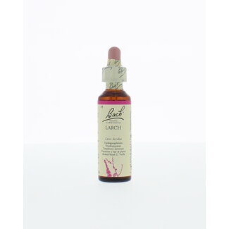 Bach Larch/lariks 20.00 Milliliter