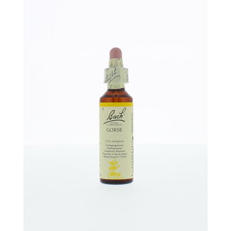 Bach Gorse/ajonc 20 millilitres