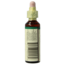 Centaury/centaury 20 Millilitres