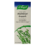 Avena sativa (Spokój Nocny) 100 Mililitrów