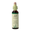 Agrimony 20 Millilitres