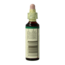 Agrimony 20 Millilitres