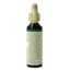Agrimony 20 Millilitres