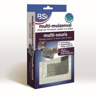 BSI Pułapka myszy Multi | 1 szt. 1 szt.