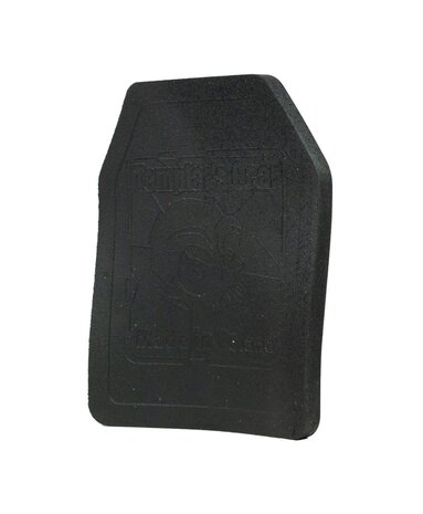 Templar's Gear 2,5KG Training Plates (1 plate)