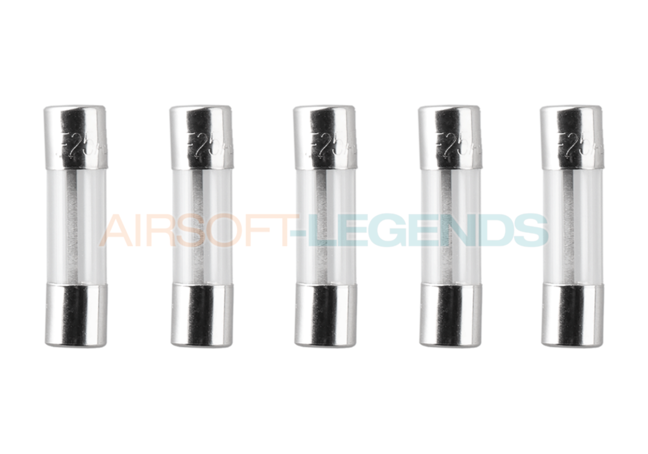 Nimrod Glass Type Fuse 5x20mm 25A 5pcs