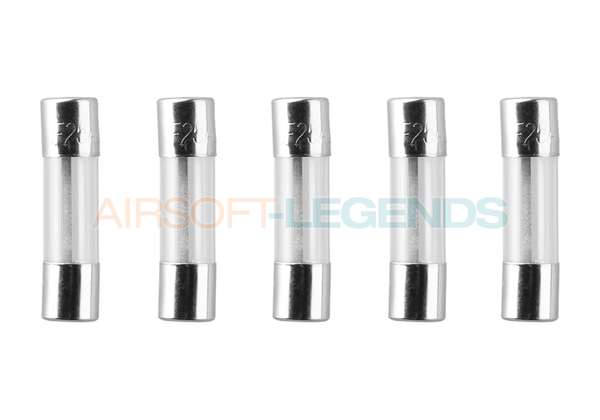 Nimrod Glass Type Fuse 5x20mm 25A 5pcs