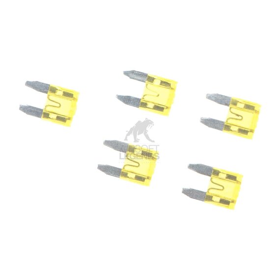 Mini Type Fuse 20A 5pcs