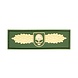 JTG Winged Skull Rubber Patch OD Green V2 JTG Winged Skull Rubber Patch OD Green V2