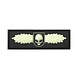 JTG Winged Skull Rubber Patch Glow in the Dark JTG Winged Skull Rubber Patch Glow in the Dark