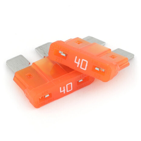 Gate Mini Fuse (2 pcs)