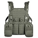 Tasmanian Tiger  Modular Chest Rig 4xM4 IRR Ranger Green