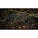 MFH 4-Piece Ghillie Suit Woodland MFH 4-Piece Ghillie Suit Woodland
