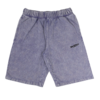 Faded Signature Short - Purple