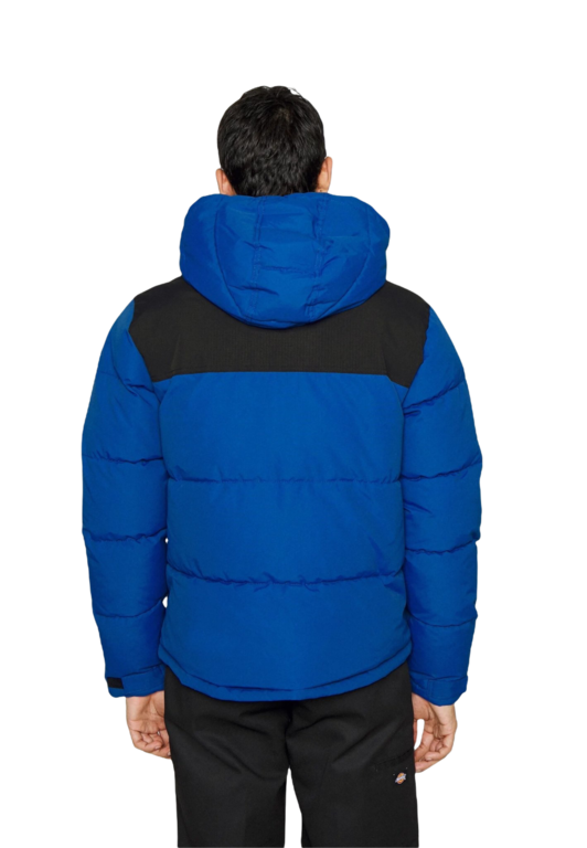 Dickies Glacier View Coat Jacket - True Blue