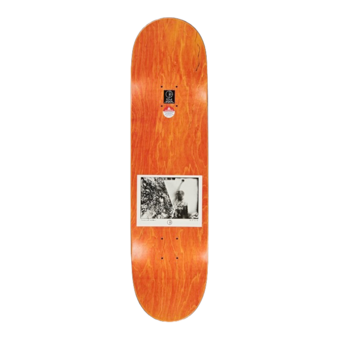 Polar Paul Grund - Man With Window - Slick 8.75