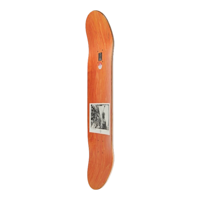 Polar Paul Grund - Man With Window - Slick 8.75