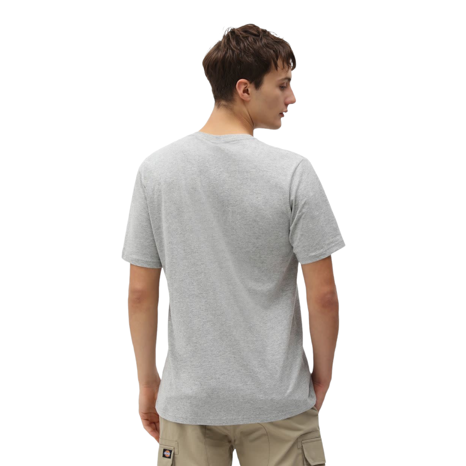 Dickies SS Mapleton T-Shirt - Grey Melange