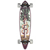 Pintail - Facon 34