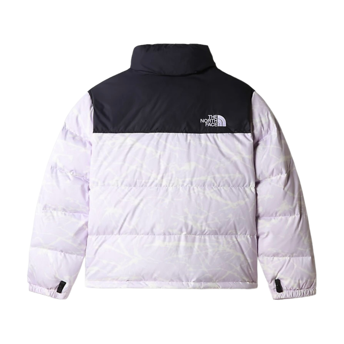 The North Face W Plus P Jacket (Grandes Tailles) - LVDRFMTSPLTPR