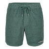 Camorro Cord Short - North Atlantic