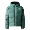 Réversible North Dawn Jacket - Dark Sage