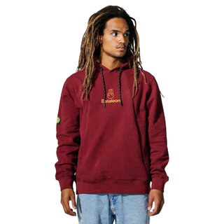 Bataleon Delta Snow Proof Hood - Ruby Wine