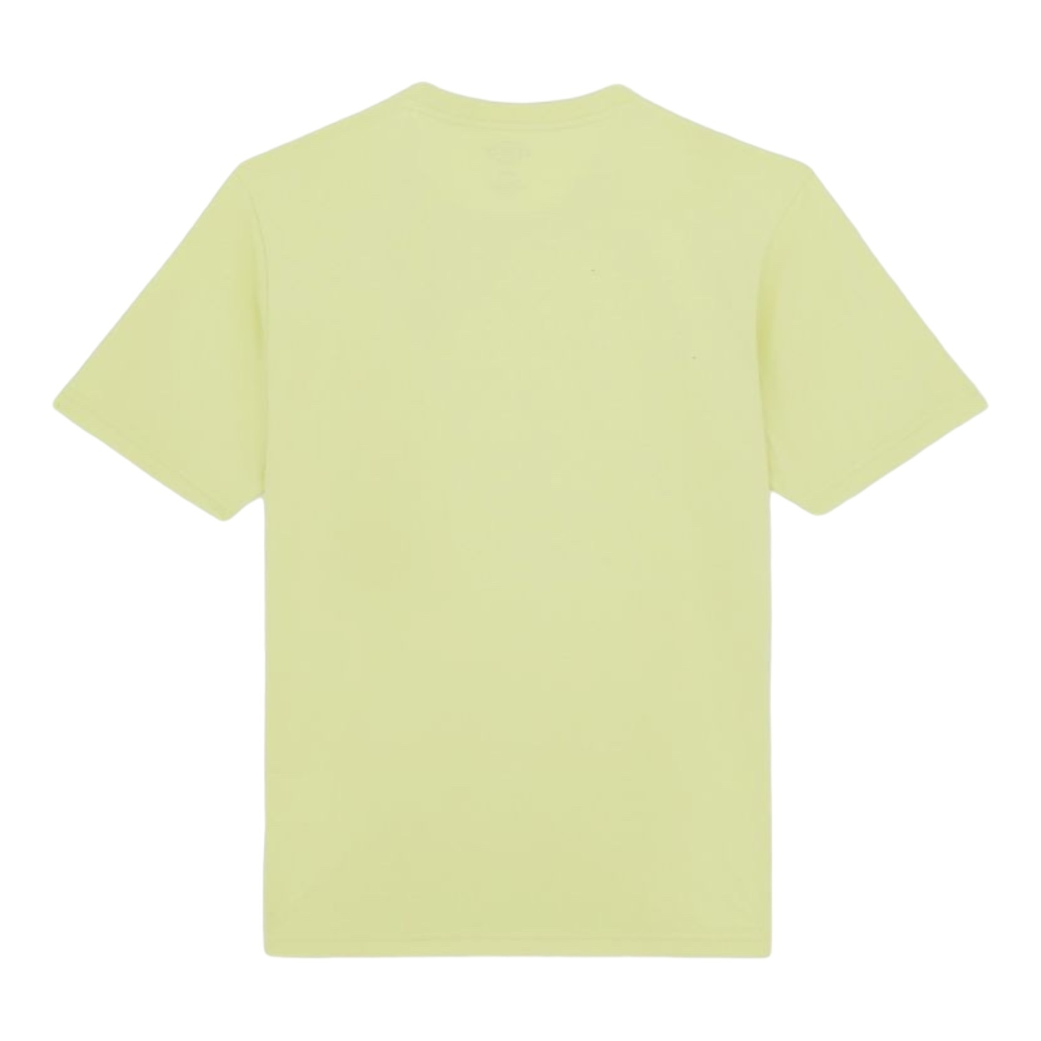 Dickies SS Mapleton T-Shirt - Green Pale - O'Street