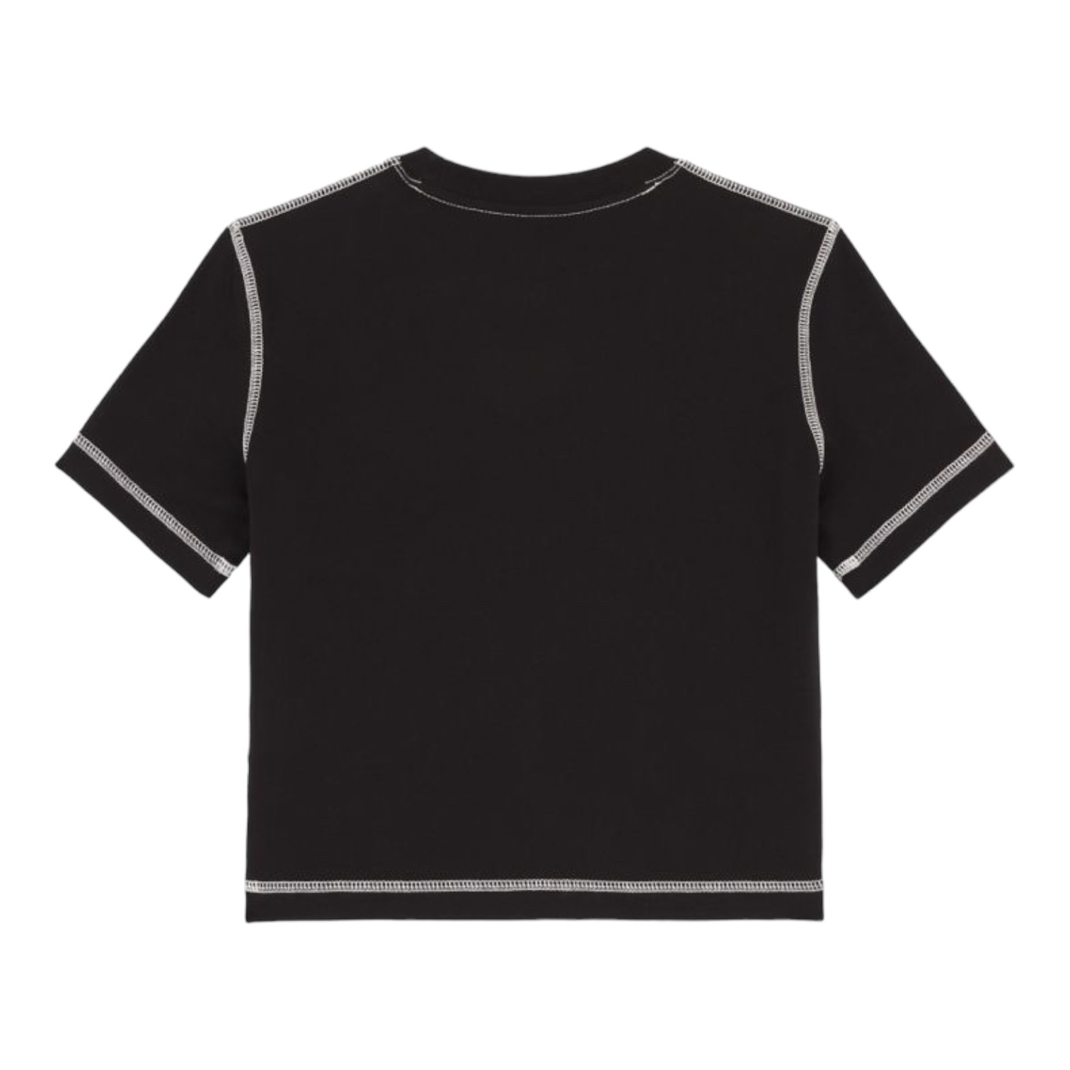 Dickies SS Philipsburg Slim Tee - Black