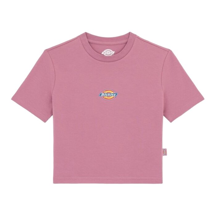 Dickies Maple Valley Tee - Pink