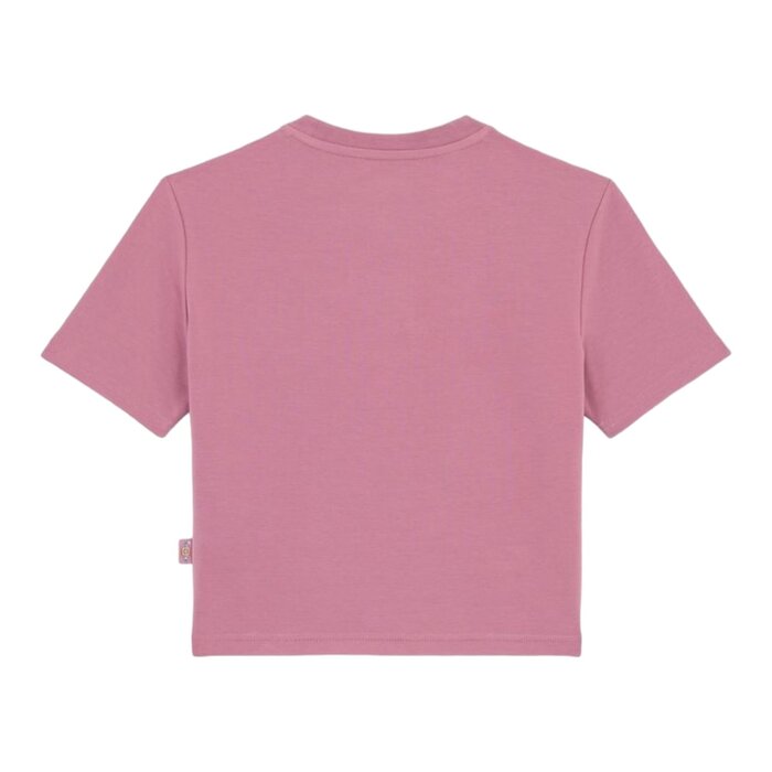 Dickies Maple Valley Tee - Pink