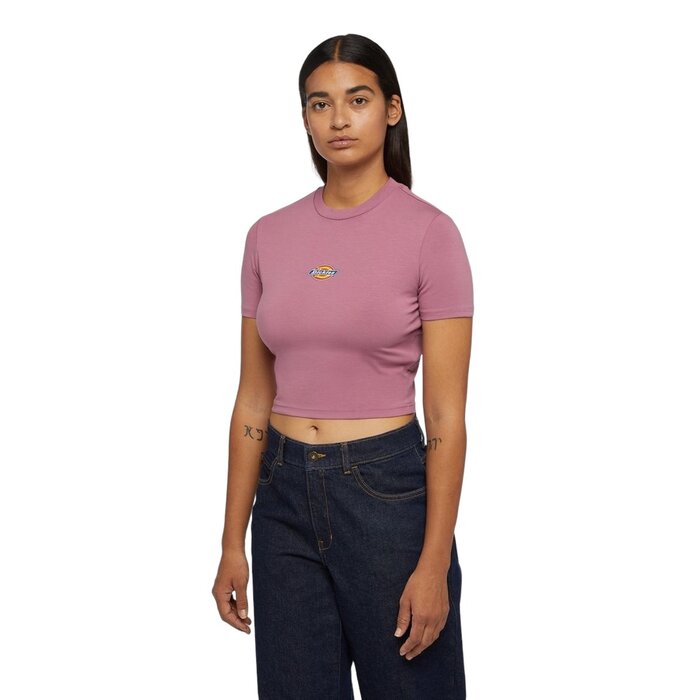 Dickies Maple Valley Tee - Pink