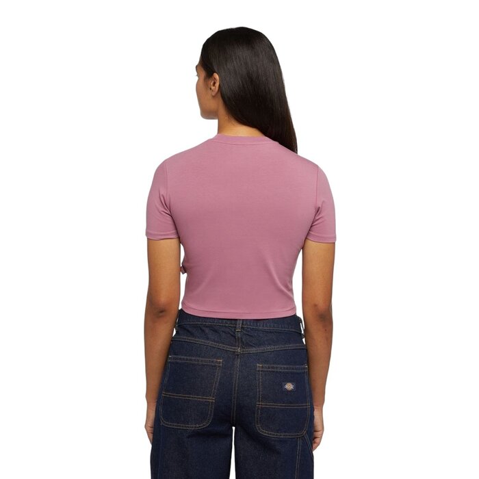 Dickies Maple Valley Tee - Pink