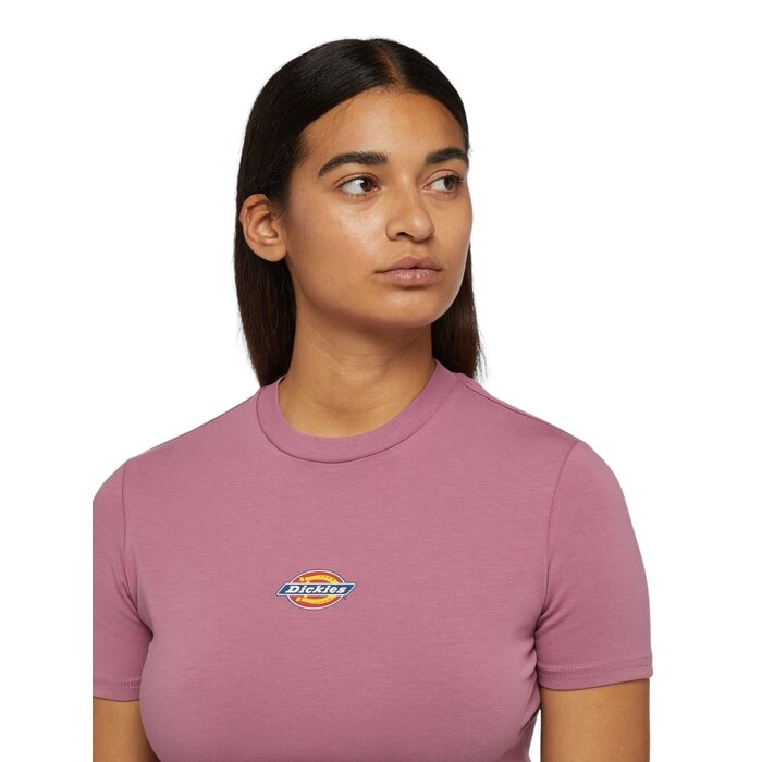 Dickies Maple Valley Tee - Pink