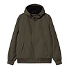 Hooded Sail Jacket - Cypress/Black