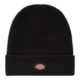 Dickies Gibsland - Black