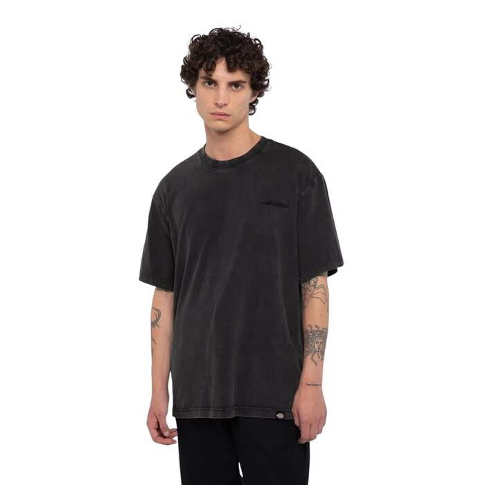 Dickies Plentywood Tee SS - DYE/ACD Black