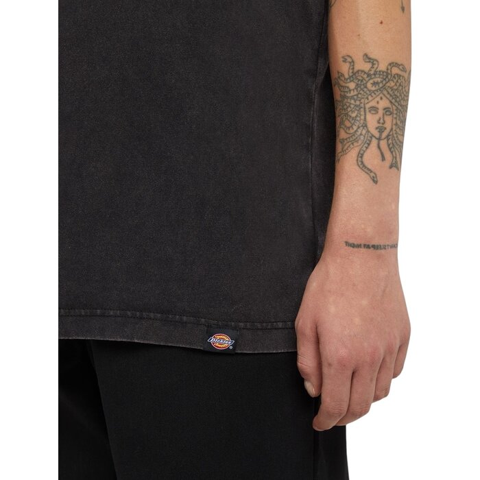 Dickies Plentywood Tee SS - DYE/ACD Black