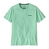 Fitz Roy Icon Responsibili-Tee - Rinsed Green