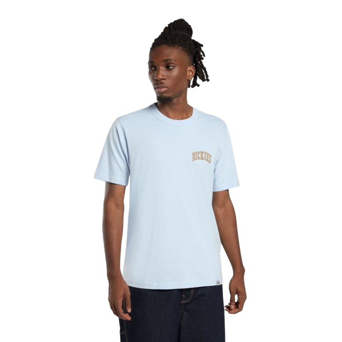 Dickies Aitkin Chest Tee - Skyway