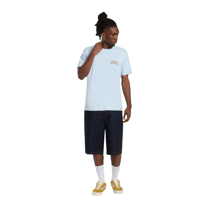 Dickies Aitkin Chest Tee - Skyway