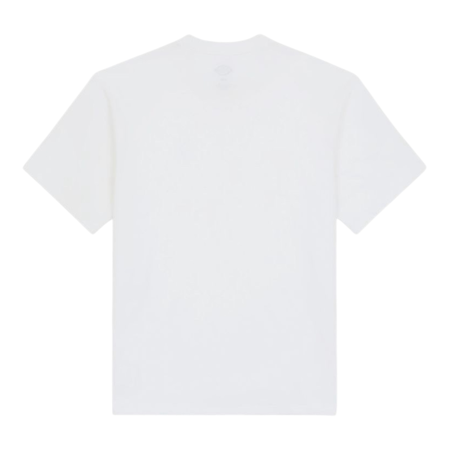 Dickies Clancy Heavyweight Tee - White