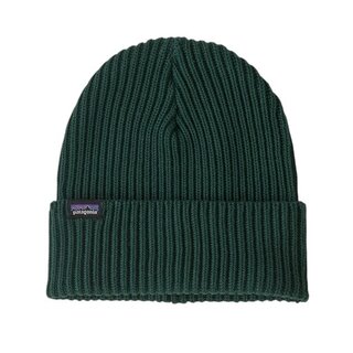 Patagonia Fisherman Rolled Beanie - Cascade Green